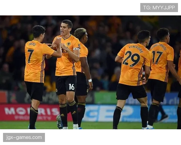 埃弗顿本赛季表现稳健，竞争力持续提升